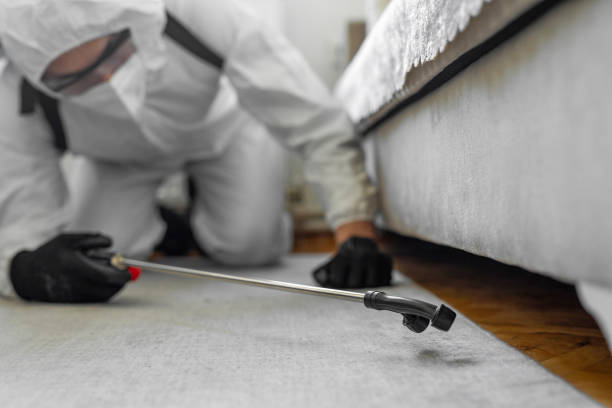 Professional Termite Control technician working in Browns Lake, WI
