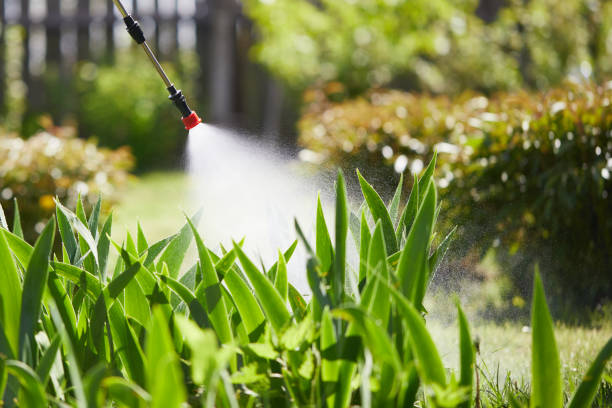 24/7 Emergency Termite Control experts in Browns Lake, WI